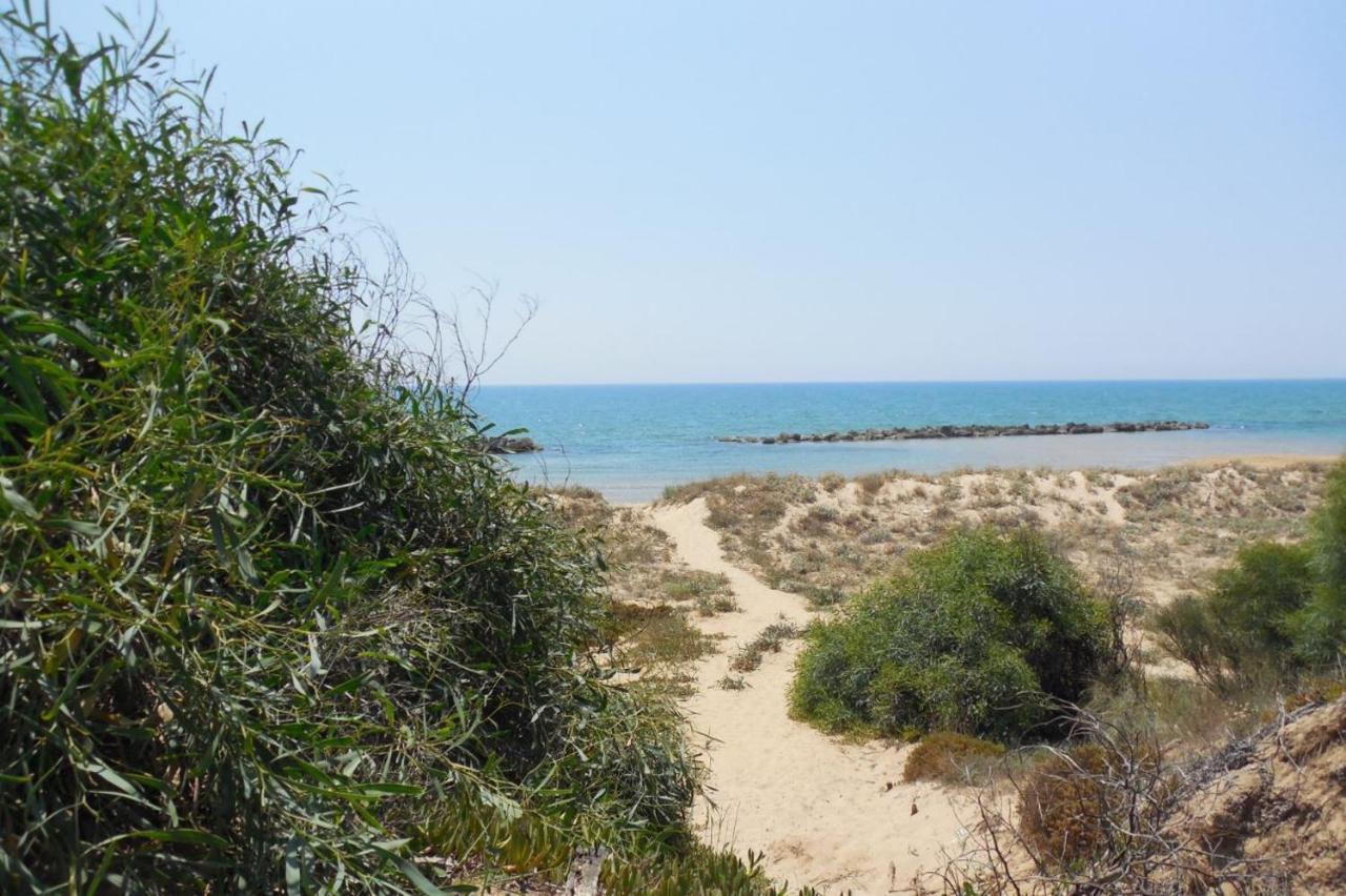 Giardino Della Nonna Bice - Locazioni Turistiche Villa Agrigento Luaran gambar